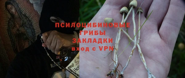 амф Магас