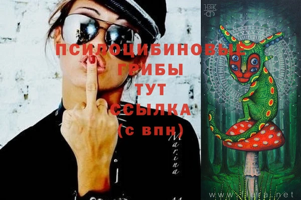 соль ск Майский