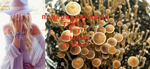 соль ск Майский