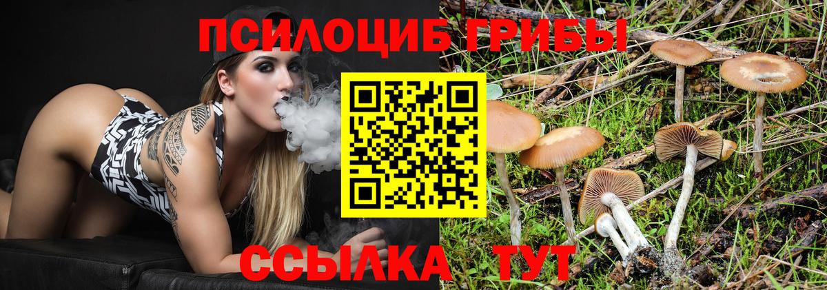 Галлюциногенные грибы GOLDEN TEACHER Якутск