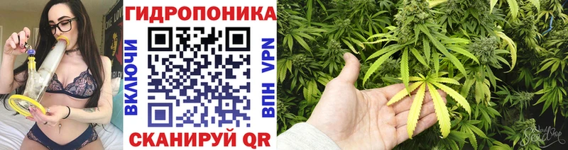 магазин    Якутск  Каннабис AK-47 